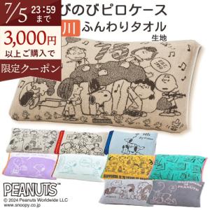 101匹わんちゃん ディズニー キャラクター シングルロングサイズカバー