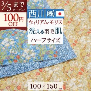 西川（nishikawa） ダウンケット ひざ掛け ダウン70％ 150×80cm 西川