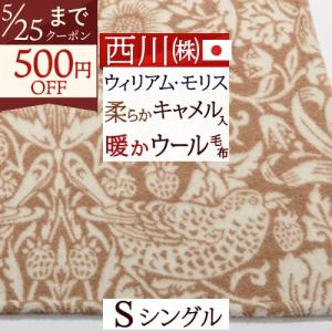 西川（nishikawa） シルク毛布 シングル 日本製 東京西川 毛羽部分