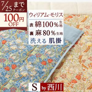 洗える 合繊肌掛けふとん いちご泥棒 シングル 140×190 肌掛け布団 肌
