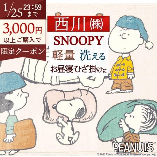 毛布 ハーフ お昼寝 ひざ掛け 140×100cm 西川 軽量 ハーフケット ブランケット おしゃれ...