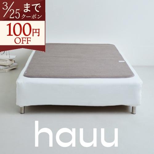 除湿シート 2点セット ダブル クローゼット 西川 hauu はう 除湿マット 湿気取り 防カビ 消...