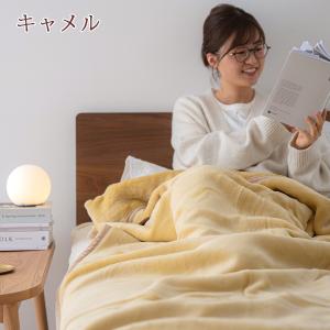 毛布 シングル 2枚合わせ 西川 西川産業 東...の詳細画像5