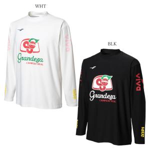 FINTA（フィンタ） JR キッズ ジュニア リバーシブルビブス 10枚セット