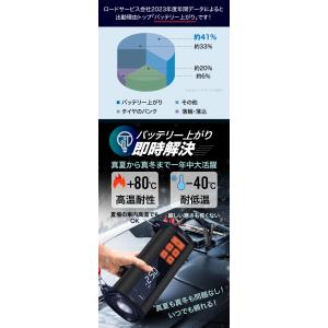空気入れ 電動 電動空気入れ ボール 電動空気...の詳細画像3