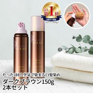 白髪染め ヘアボーテエクラ 旧品特価 医薬部外品 ボタニカルエアカラーフォーム
