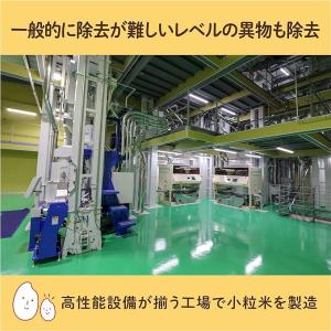 ブレンド米5kg 国産 小粒米 精米 ブレンド...の詳細画像3