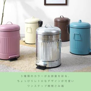 ゴミ箱 ごみ箱 ダストボックス ごみばこ ふた...の詳細画像5