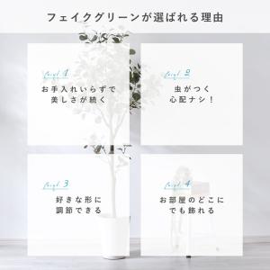 フェイクグリーン 大型 玄関 ユーカリ ユーカ...の詳細画像2