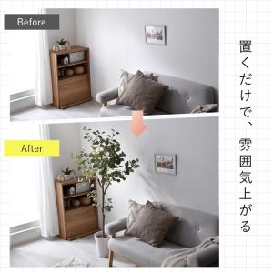 フェイクグリーン 大型 玄関 ユーカリ ユーカ...の詳細画像4