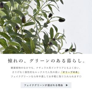 フェイクグリーン 大型 玄関 オリーブ オリー...の詳細画像1