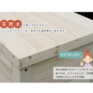 物置き 物置 屋外 おしゃれ 小型 ガーデニン...の詳細画像2