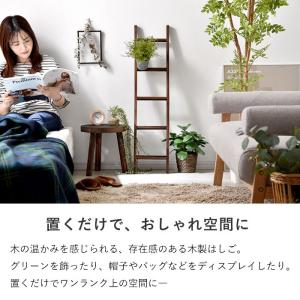 ラダーラック はしご 木製 インテリア 雑貨 ...の詳細画像1