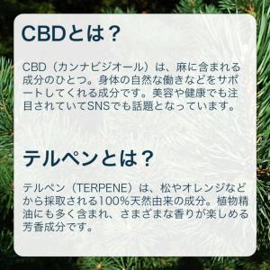 i-NOUVE アイヌーブ CBD 1カートン...の詳細画像3