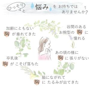 ナイトブラ ブラジャー ノンワイヤー ノンワイ...の詳細画像3