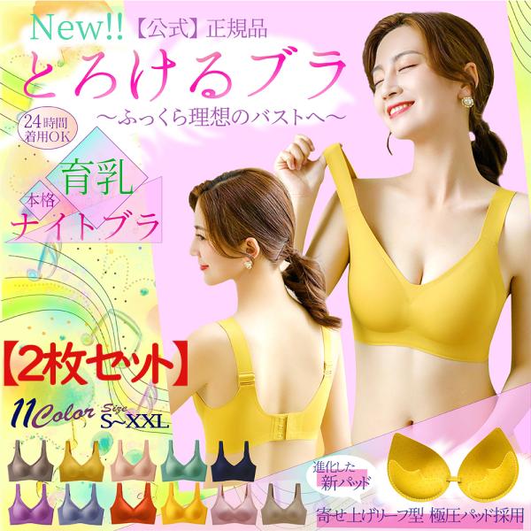 ナイトブラ ブラジャー ノンワイヤー シームレス 2枚セット 期間限定数量限定特別価格 育乳 脇肉補...