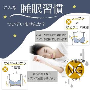 ナイトブラ ブラジャー 【数量限定セール 特別...の詳細画像4