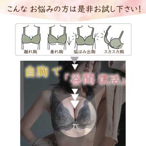 ブラジャー ショーツセット 【期間限定数量限定...の詳細画像3
