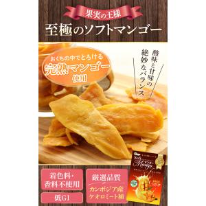 ドライマンゴー ソフトマンゴー 【安心の国内加...の詳細画像1
