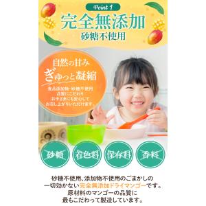 ドライマンゴー 【安心の国内加工】砂糖不使用 ...の詳細画像2