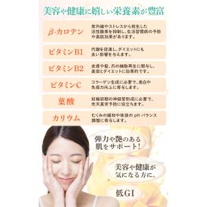 ドライマンゴー 【安心の国内加工】砂糖不使用 ...の詳細画像5