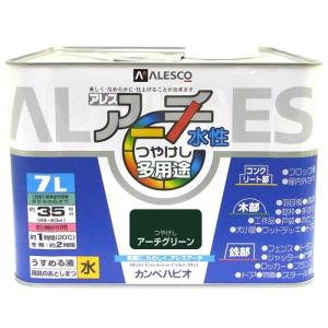 カンペハピオ アレスアーチ アーチグリーン 7L