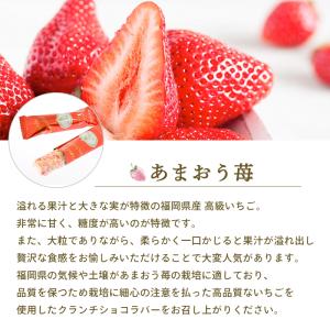 夏ギフト 敬老の日 早割クーポン ~9/7 |...の詳細画像5