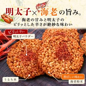 期間限定★ポイント10倍 敬老の日 お菓子 ギ...の詳細画像4