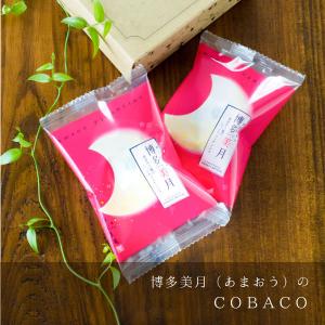 博多風美庵 COBACO 博多美月(あまおう苺...の詳細画像4