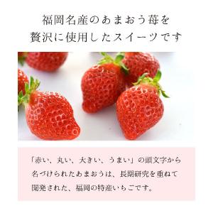 博多風美庵 COBACO 博多美月(あまおう苺...の詳細画像5