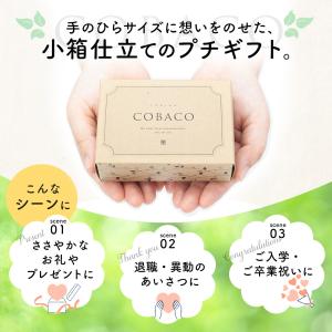 夏ギフト 敬老の日 早割クーポン ~9/7 |...の詳細画像2