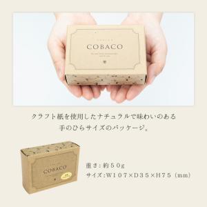 敬老の日 早割クーポン発行 ~9/7 | お菓...の詳細画像5
