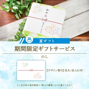 夏ギフト 敬老の日 早割クーポン P10倍 ~...の詳細画像2