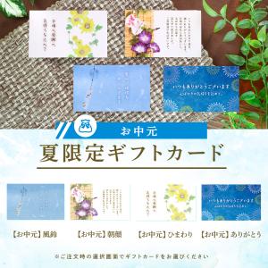 夏ギフト 敬老の日 早割クーポン P10倍 ~...の詳細画像3