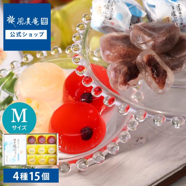 季節のギフト涼菓セットLサイズ  わらび餅 ゼリー 即日発送対応 送料無料 宅急便発送 Agift