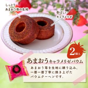 期間限定★ポイント10倍 敬老の日 お菓子 ギ...の詳細画像5