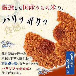 送料無料 お菓子 お試しセット 個包装 せんべ...の詳細画像4