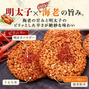 送料無料 お菓子 お試しセット 個包装 せんべ...の詳細画像3
