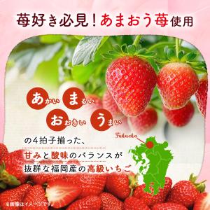 お菓子 お試しセット 個包装 焼き菓子 | 博...の詳細画像3