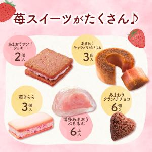 お菓子 お試しセット 個包装 焼き菓子 | 博...の詳細画像4