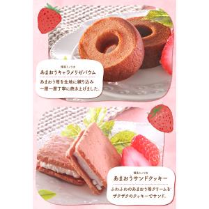 お菓子 お試しセット 個包装 焼き菓子 | 博...の詳細画像5