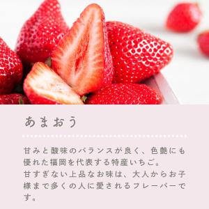 【期間限定★10%OFF:〜8/16 23:5...の詳細画像2