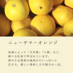 【期間限定★10%OFF:〜8/16 23:5...の詳細画像4