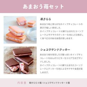 【期間限定★15%OFF:〜8/11】お試しセ...の詳細画像2