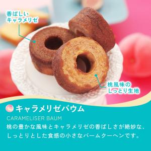 OSAKA PEACH ギフトセット Sサイズ...の詳細画像3
