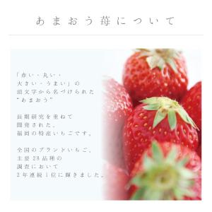 【期間限定★10%OFF:〜8/16 23:5...の詳細画像3