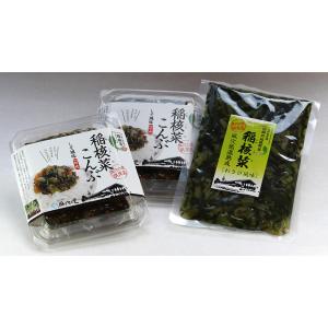 ごはんにそのままのせるだけで美味しい稲核菜こんぶ（２ケ）＋わさび風味の稲核菜（１ケ）セット｜fuuketsu