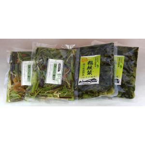 わさび菜 醤油 漬けの商品一覧 通販 Yahoo ショッピング