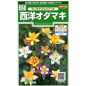 西洋オダマキ マッカナジャイアント サカタのタネ 0 5ml 多年草 春まき 秋まき 9061 seiyoodamaki Hana Uta 米沢園芸 Yahoo 店 通販 Yahoo ショッピング