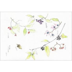 布だより 木の実つるの実／野の花 絵葉書 布のはがき／阿見みどり／63円切手で送れます &lt;レターパッ...